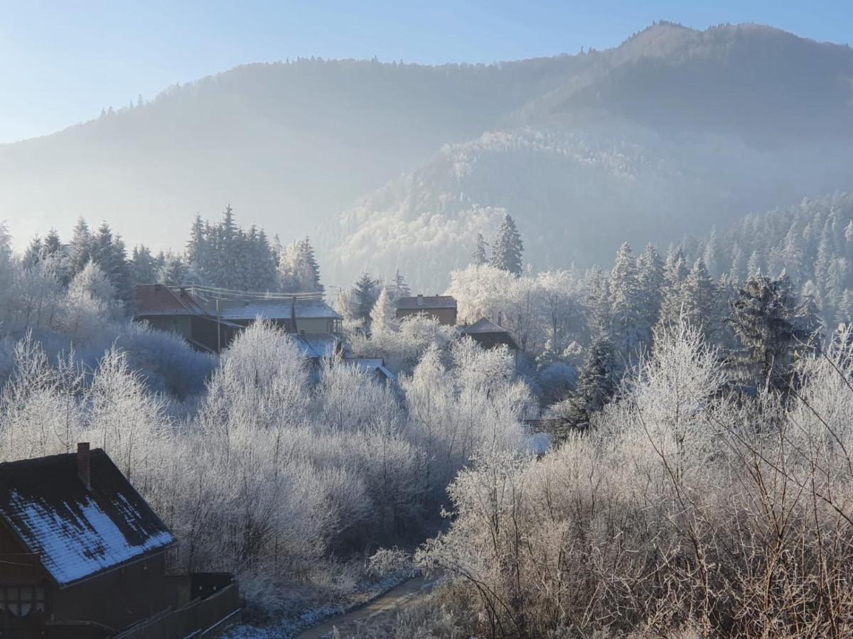 Strada Tiszas Vacation House BaileTusnad Luaran gambar