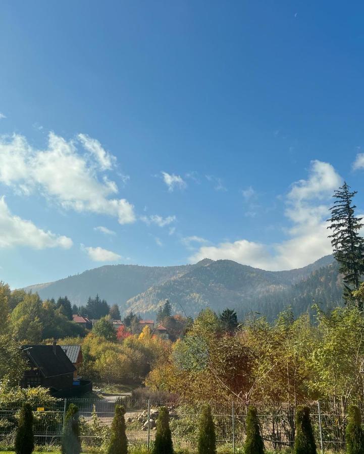Strada Tiszas Vacation House BaileTusnad Luaran gambar