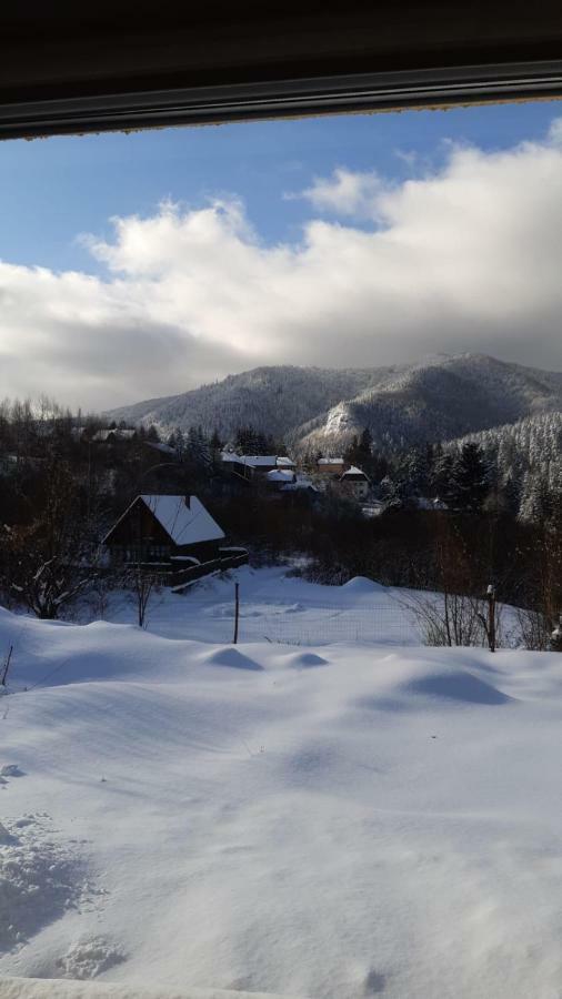Strada Tiszas Vacation House BaileTusnad Luaran gambar